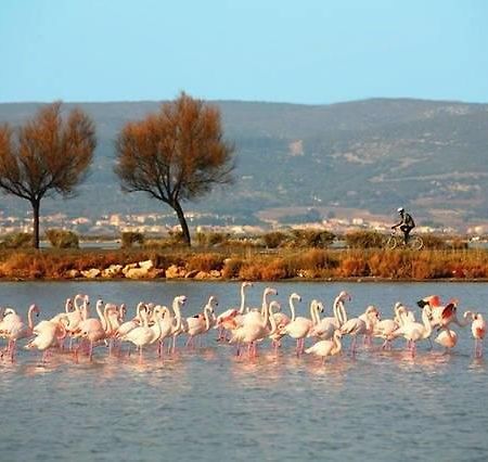 Appart Beziers Plage Dış mekan fotoğraf