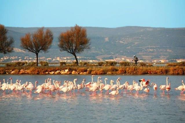 Appart Beziers Plage Dış mekan fotoğraf